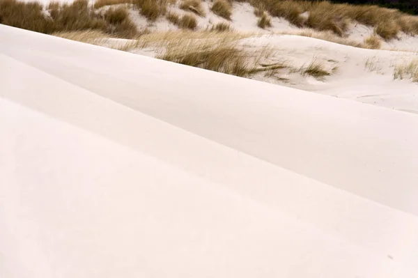 Dunes Sur Île Frise Nord Amrum Allemagne — Photo