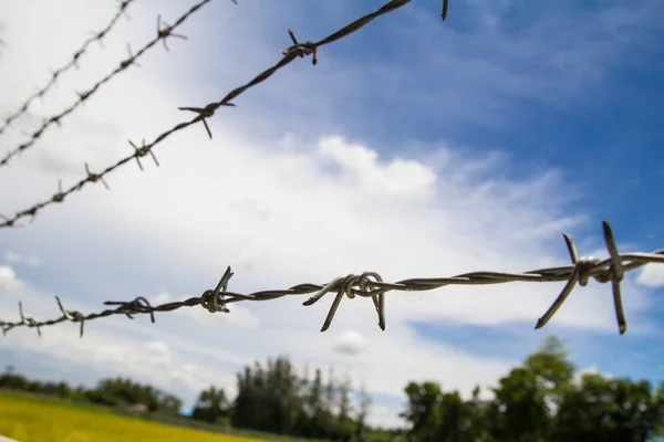 Mantente Fuera Barbwire Mantiene Los Animales Campo Del Granjero — Foto de Stock