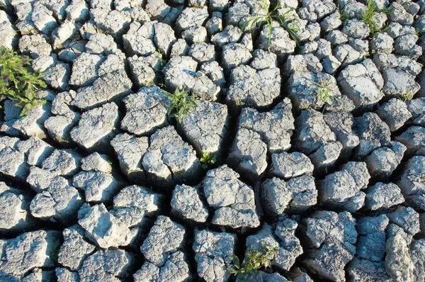 Hintergrund Der Umweltzerstörung Extrem Ausgetrockneter Boden — Stockfoto