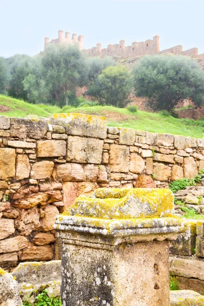 Chellah Στο Μαρόκο Αφρική Παλιά Ρωμαϊκή Χειροτέρευσε Μνημείο Και Χώρο — Φωτογραφία Αρχείου