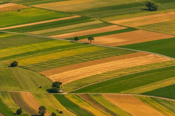 Green Fields Aerial View Harvest Summer — Stock Photo, Image