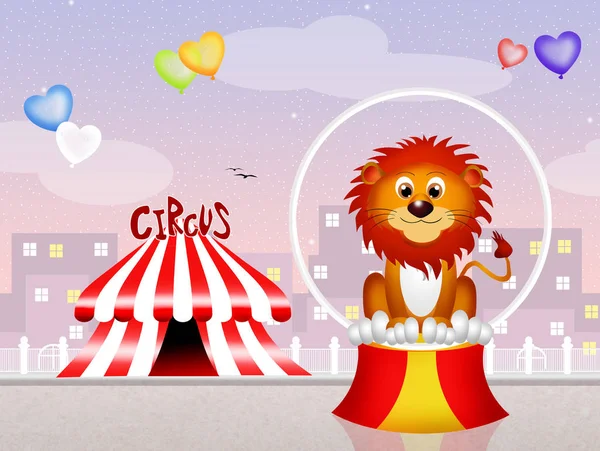 Cirkuszi Oroszlán Szemléltetése — Stock Fotó