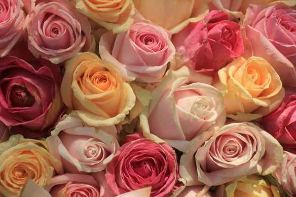 Roses Pastel Dans Différentes Nuances Dans Arrangement Mariage — Photo