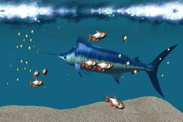 Pequenos Peixes Acompanham Espadim Azul Habitat Oceânico Mundial — Fotografia de Stock