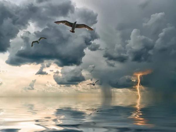 海の上のカモメは 背景に雨と雷と雷雨の近くに来ます — ストック写真