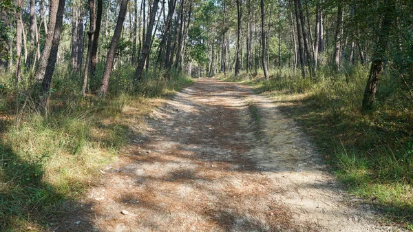 Sendero Peregrino Entre Tui Porrino Camino Santiago España — Foto de Stock