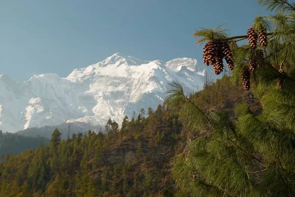 Χιονισμένα Βουνά Του Θιβέτ Δες Από Την Annapurna Trek — Φωτογραφία Αρχείου