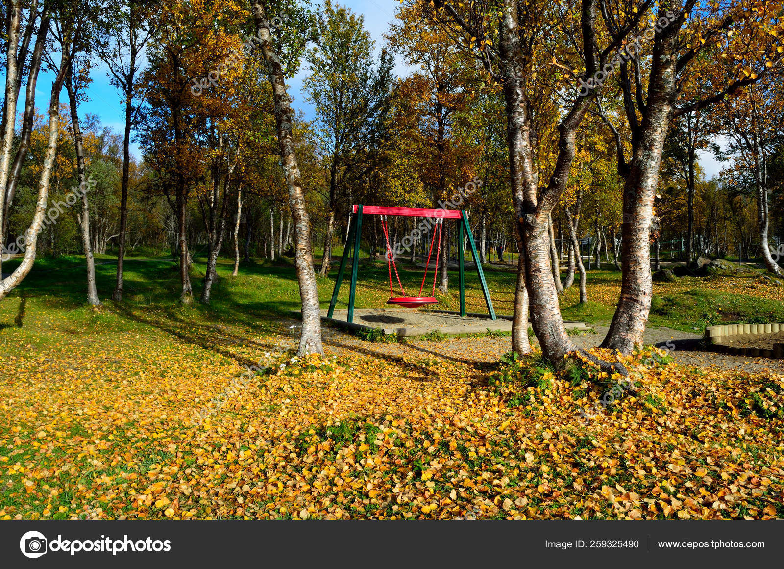 natural swing set