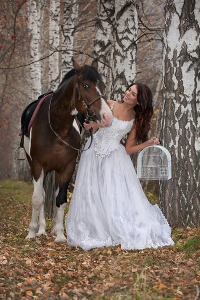 Young Woman Horse Forest — Stock Photo, Image