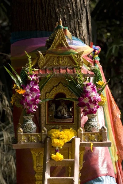 Ταϊλανδέζικο Σπίτι Πνεύμα Διακοσμημένο Ορχιδέες Αγαλματάκια Μέσα — Φωτογραφία Αρχείου