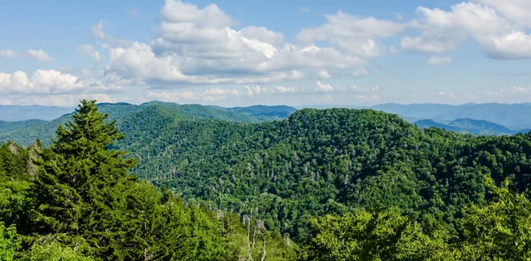 Great Smoky Mountains Tetején Kupola Clingman Barátait Széles Látképe — Stock Fotó