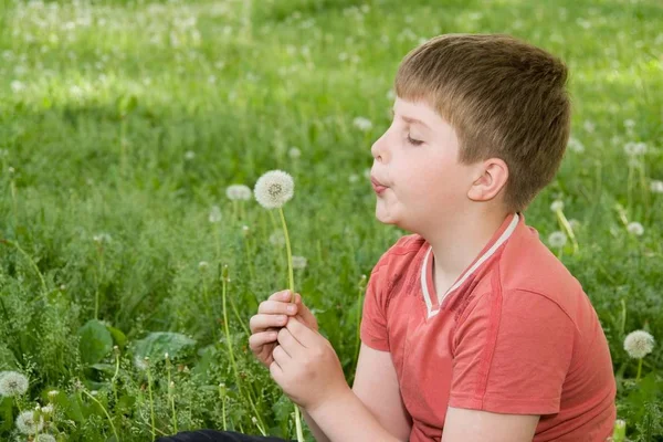 小さな男の子は公園に対してタンポポを吹く — ストック写真