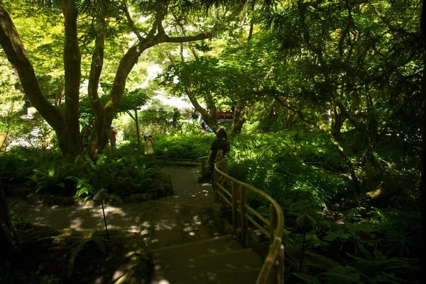 Butchart Garden Victoria British Columbia — Stockfoto