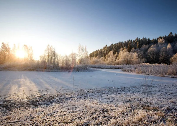 Vinter Landskap Med Sol Och Frost — Stockfoto