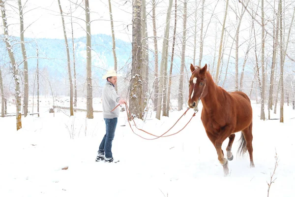 Young Cowboy His Horse Snow Forest — Stock Photo, Image
