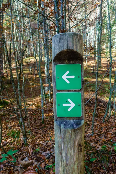 Señal Poste Bosque Ambos Sentidos Izquierda Derecha Flecha Blanca Placa — Foto de Stock