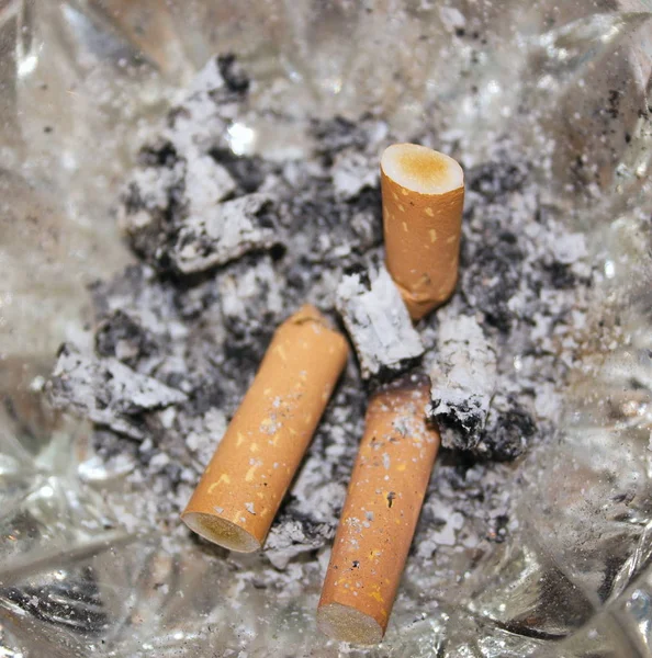 Pointe Cigarette Termine Dans Plateau Cendres — Photo