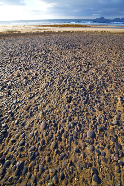 Côte Blanche Lanzarote Espagne Plage Pierre Eau Été — Photo