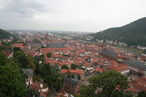 Tetti Rossi Heidelburg Lungo Fiume Reno Visti Dal Castello Heidelburg — Foto Stock