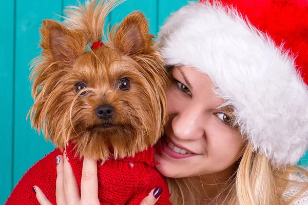 Hermosa Chica Sombrero Santa Con Perro Yorkie Suéter Rojo — Foto de Stock