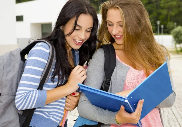 Dois Belos Estudantes Adolescentes Estudando Mostrando Algo Nos Livros — Fotografia de Stock