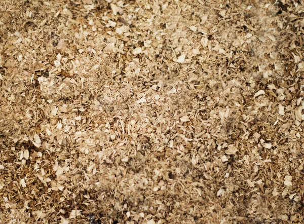 Wood Sawdust Texture Background Your Commercial Editorial Use — Stock Photo, Image