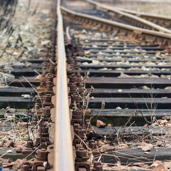 Güneşli Bir Günde Demiryolu Manzarası — Stok fotoğraf