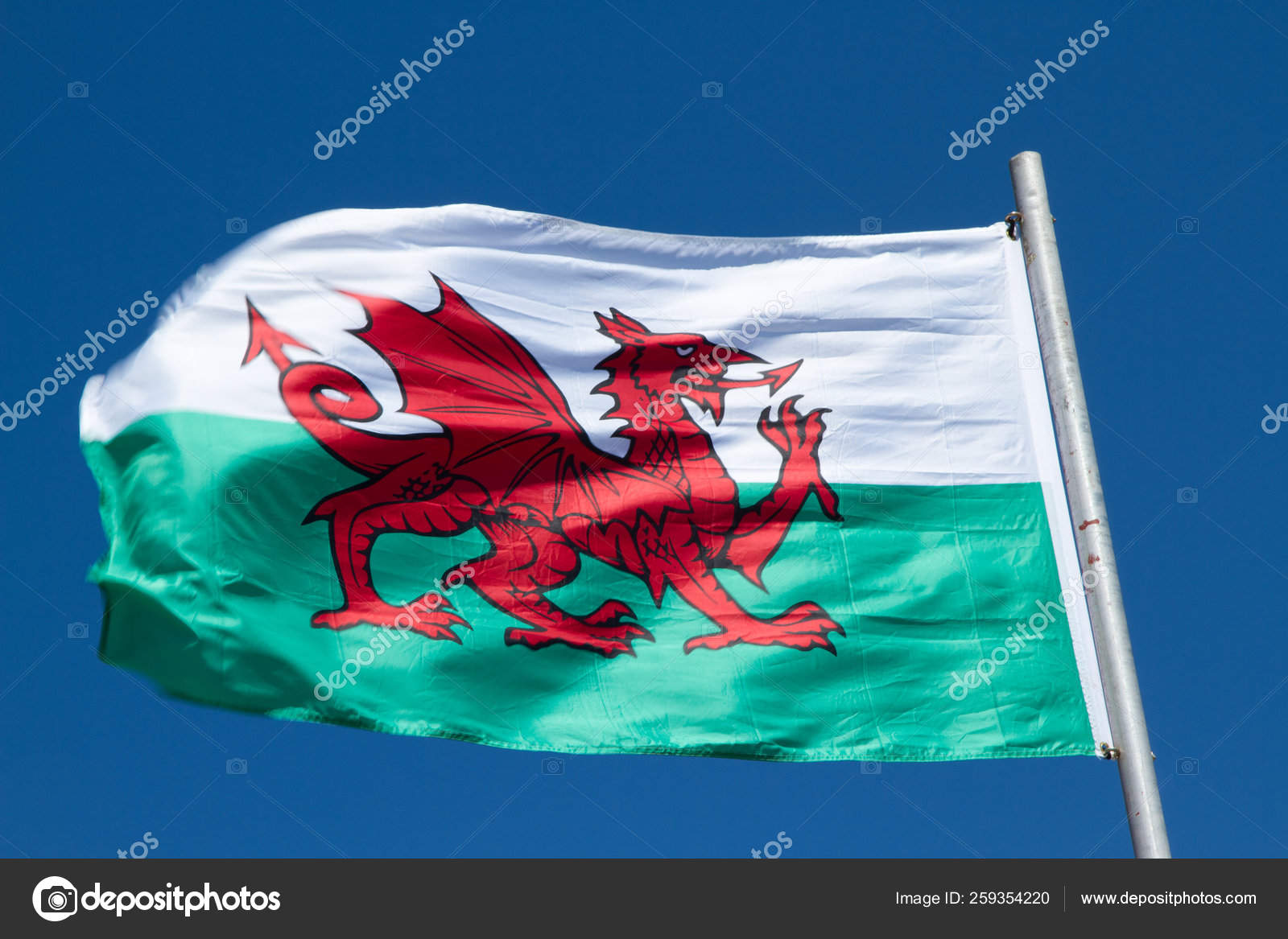 Флаг с зеленым драконом. Уэльский дракон. Флаг с зеленым драконом. Флаг вейлс дракон. Красный дракон символ уэльса.