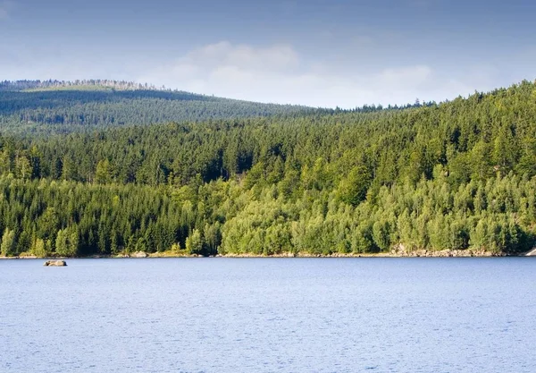 Yeşil Ağaçlar Tepeler Ile Göl Görünümü — Stok fotoğraf