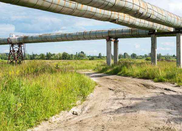 Seção Elevada Dos Gasodutos Acima Estrada Terra — Fotografia de Stock