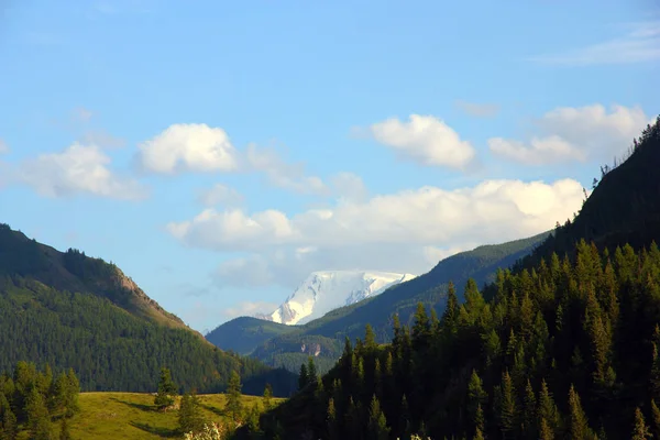 Красивая Горная Долина Алтая — стоковое фото