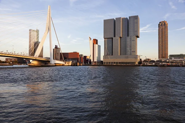 Rotterdam Segue Horizonte Com Ponte Erasmus Rotterdam Holanda Sul Holanda — Fotografia de Stock