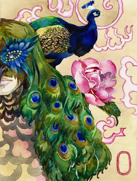 King Páva Akvarell — Stock Fotó