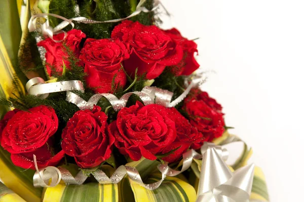 Schöne Rote Rosenblüten Mit Wassertropfen — Stockfoto
