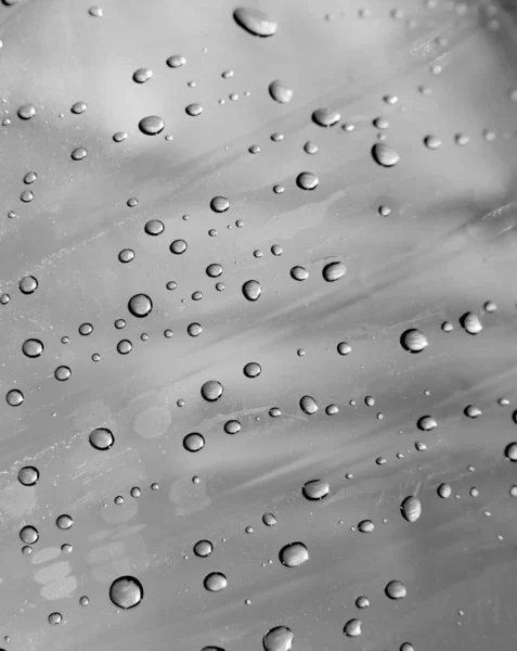 灰色の表面上の微小水滴のクローズ アップ — ストック写真