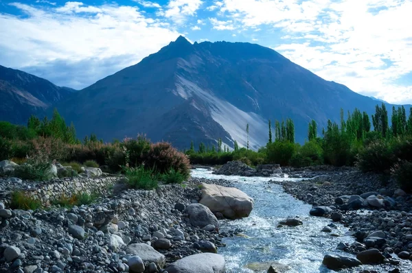 Nubra Vadisinde Doğal Manzara Leh Ladakh Jammu Kashmir Hindistan — Stok fotoğraf