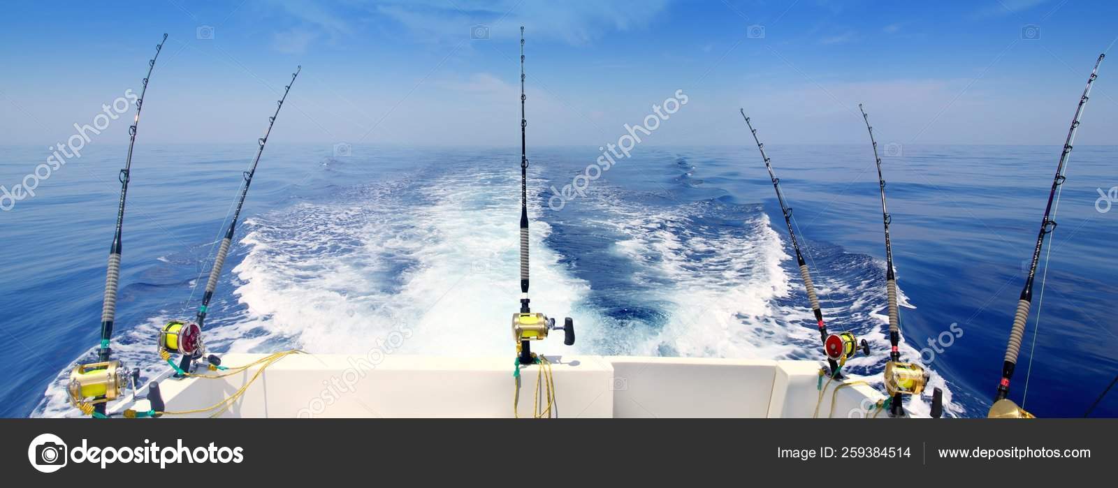 boat fishing rod and reel