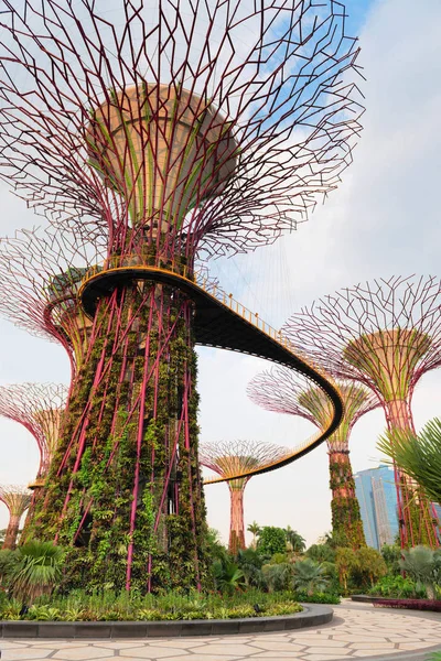 The artificial super tree grove as a vertical gardens with Skyway walking path bridge at Gardens by the Bay, Singapore.