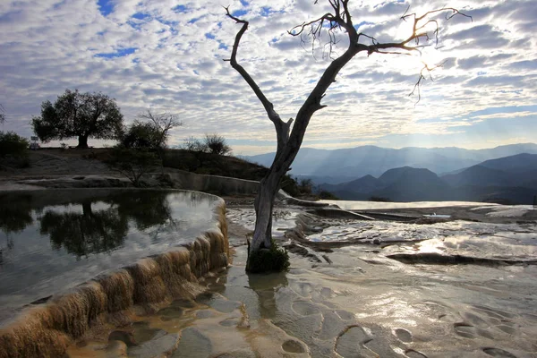 Piscina Árbol Cascadas Petrificadas Hierve Agua Oaxaca México — Foto de Stock