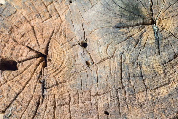 Gammal Trästruktur För Naturen — Stockfoto