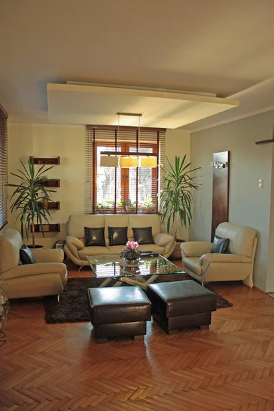 Stylish Cozy Living Room Interior — Stock Photo, Image