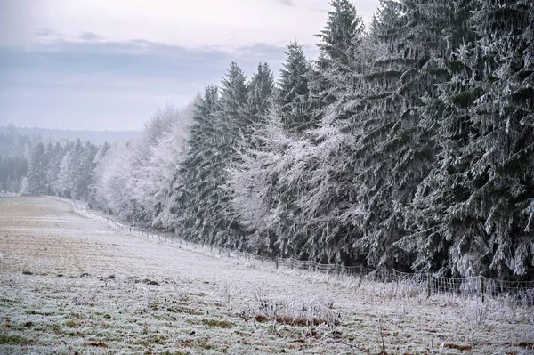 Vintern Dimmigt Landskap Täckt Med Snö Och — Stockfoto