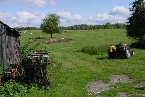 Вид Стару Ферму Дачній Ділянці — стокове фото