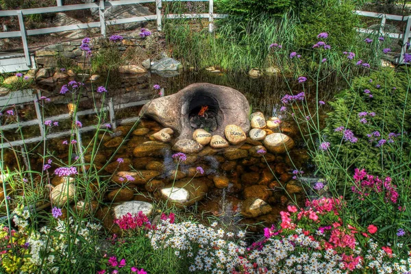 Beautiful Pond Garden — Stock Photo, Image