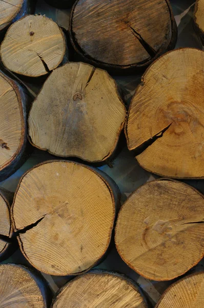 Baumstamm Holz Textur Geschnitten — Stockfoto