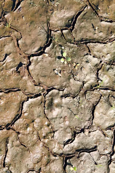Dirt Texture Close — Stock Photo, Image