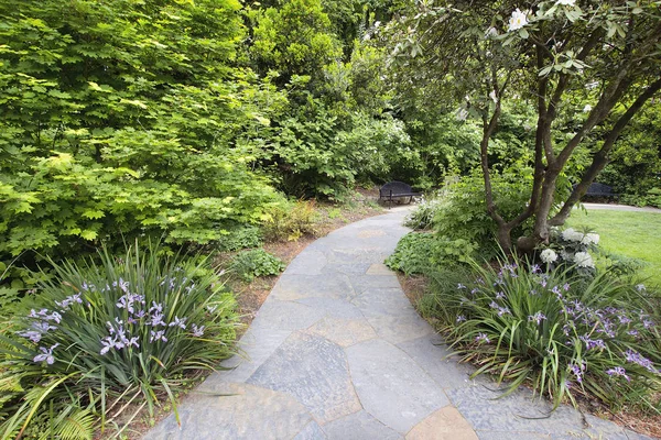 Slate Garden Path Walkway Com Floração Oregon Íris Árvores Primavera — Fotografia de Stock