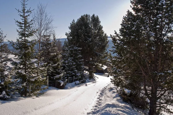 Górski Krajobraz Zimą — Zdjęcie stockowe