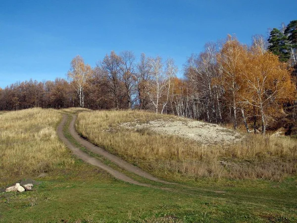 Bosque Forestal Silvestre Naturaleza Bashkortostán Rusia — Foto de Stock