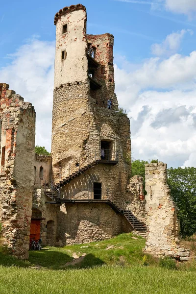 Repubblica Ceca Zviretice Giugno 2016 Rovine Del Castello Rinascimentale Zviretice — Foto Stock